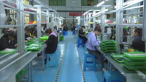 訂單式生產與電商運營雙輪驅動，安龍電子產品產業前景廣闊